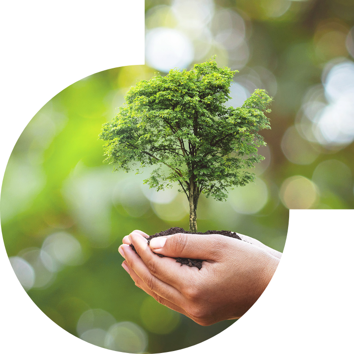 关怀人类、文化、环境与社会